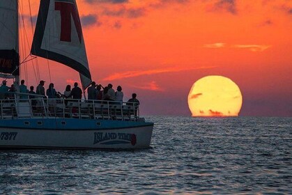 Sunset & Dolphin Catamaran Cruise med Island Time