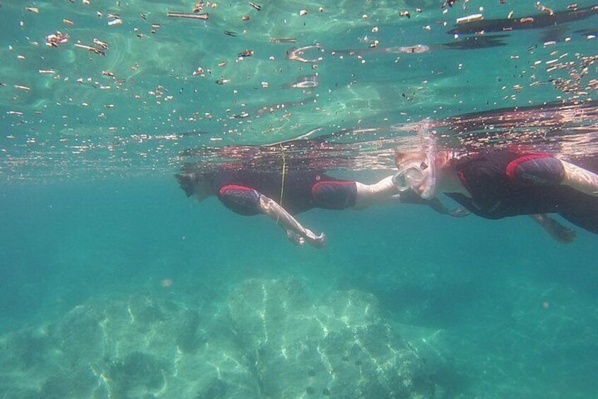 Snorkelers