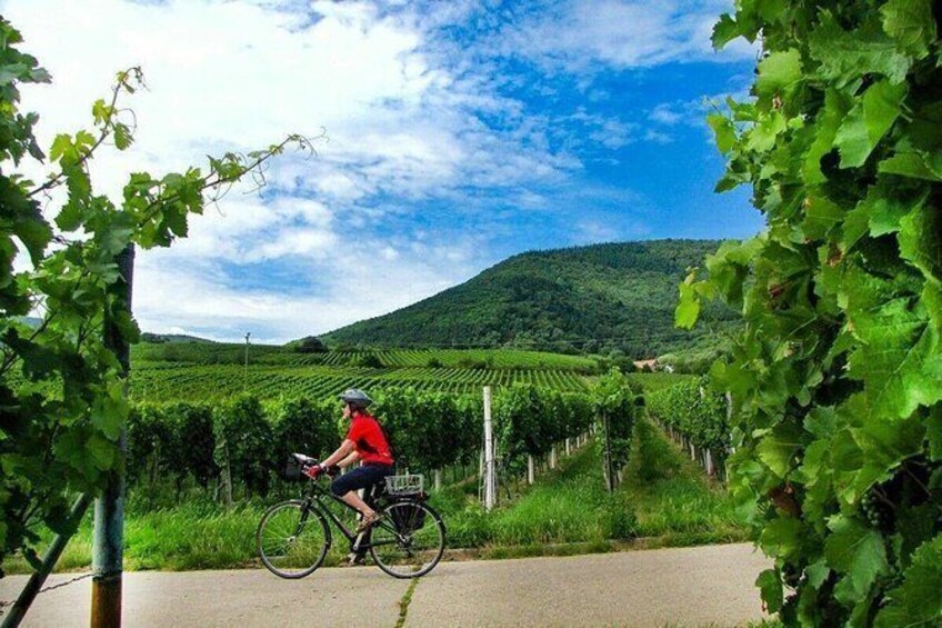 e bike wine tour
