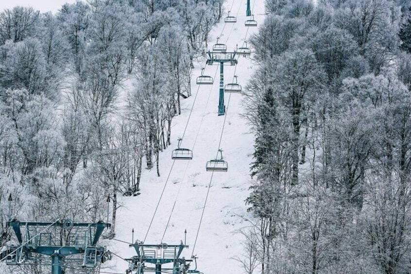 Bakuriani and Borjomi Full Day Private Tour