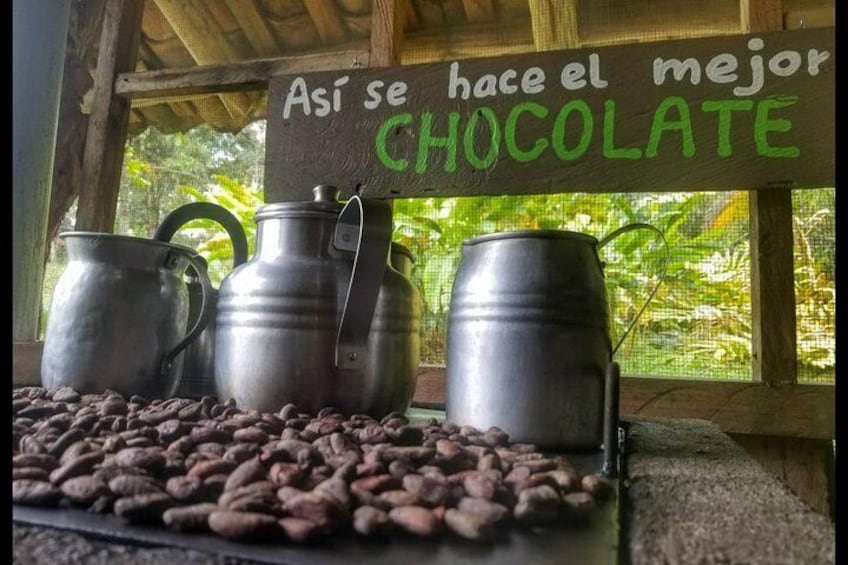 Yojoa Lake Artisan Chocolate Tour