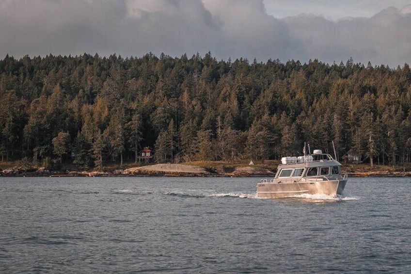 Our new semi-covered vessel has warm seating indoors and a viewing platform at the stern.