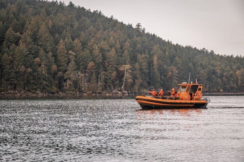 Our open boats comfortably seat 12 passengers and have a washroom onboard!