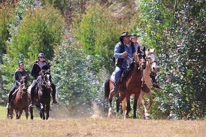 HORSEBACK RIDING MYSTIC TOUR (Temple of the Moon and Chacan Mountain)