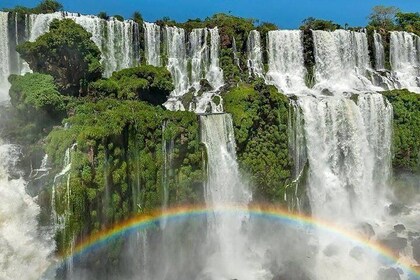 Transfer IN IGU & Iguassu Falls Brazilian side & Macuco Boat Safari