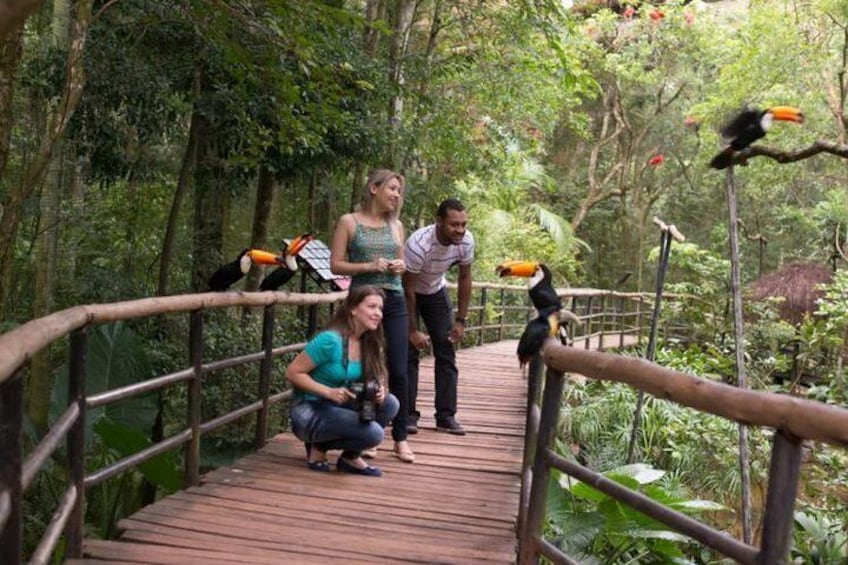 Bird Park