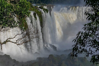 Iguassu Falls Brazilian Side & Bird Park & Macuco - Exclusive Gran Meliá Ig...