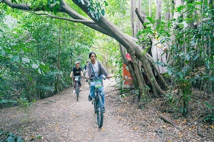 Bangkok Green Oasis Nature Bike Tour