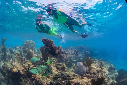 Dagexcursie naar Key West vanuit Miami met snorkel-ervaring