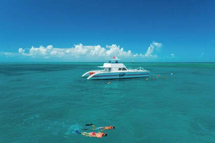 Excursión de un día por Key West y práctica de snorkel desde Miami