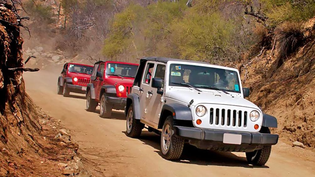 A row of jeep in Los Cabos