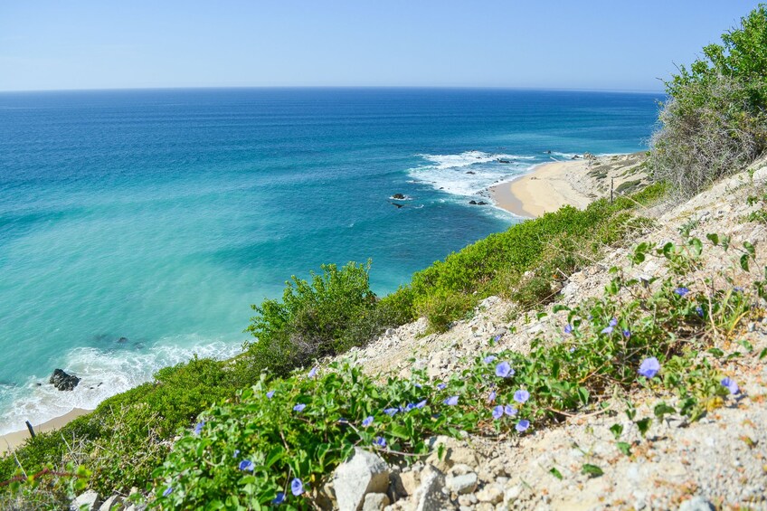 Cabo Pulmo 4x4 Jeep Tour