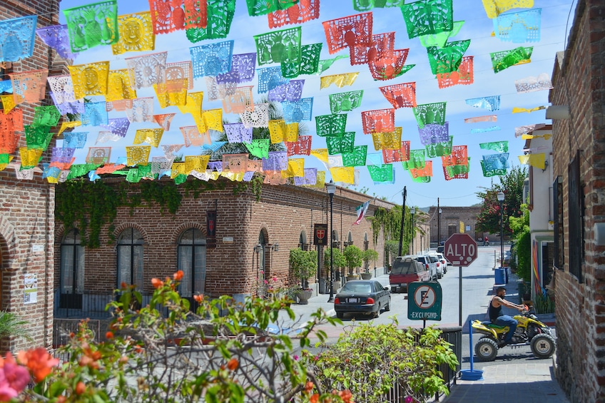 Todos Santos Jeep Tour