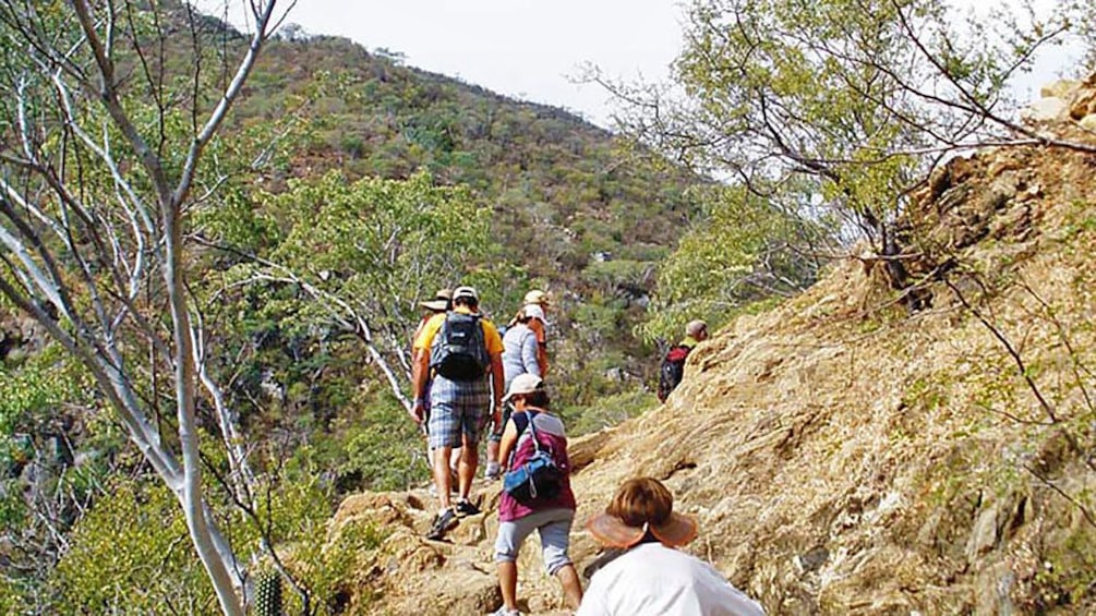 Walking along a narrow trail in Los Cabos