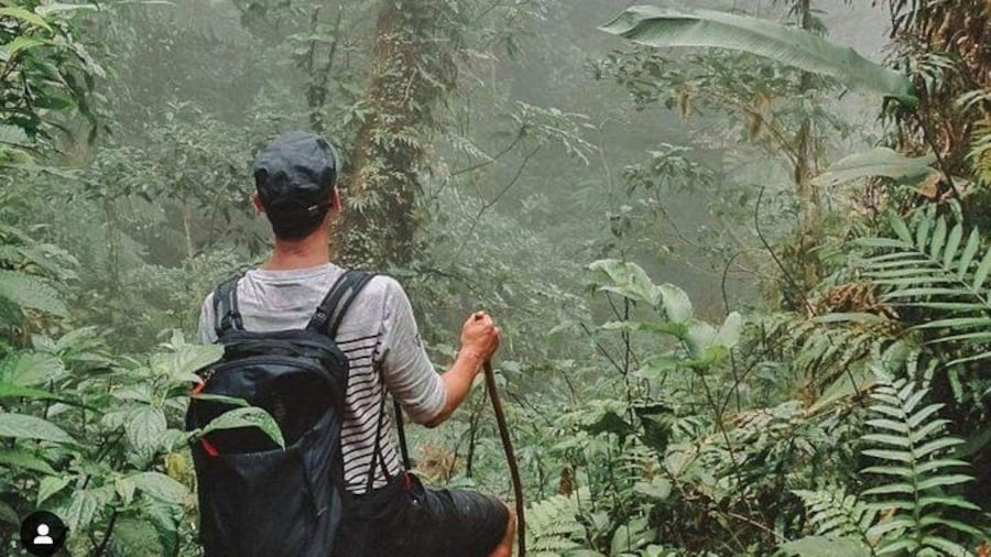 Climbing the volcano woods in ometepe