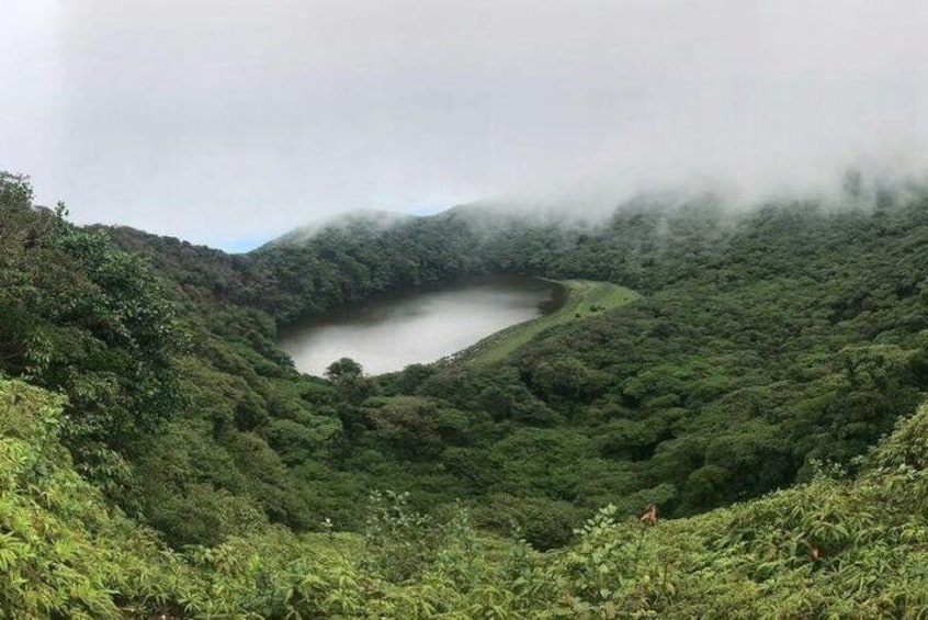 Climbing the volcano woods in ometepe