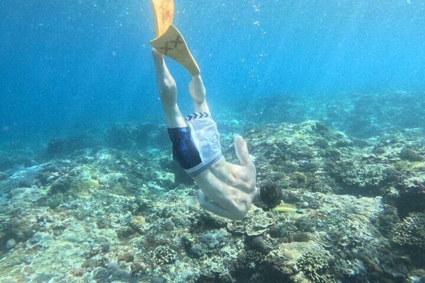 Snorkeling Tour