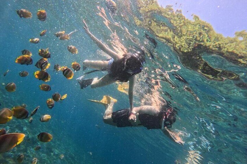 Snorkeling Tour