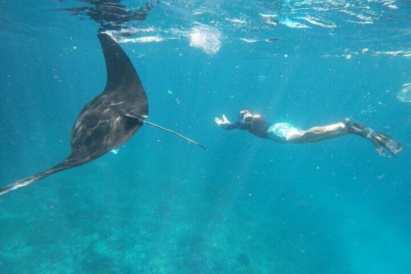 Manta Point Nusa Penida