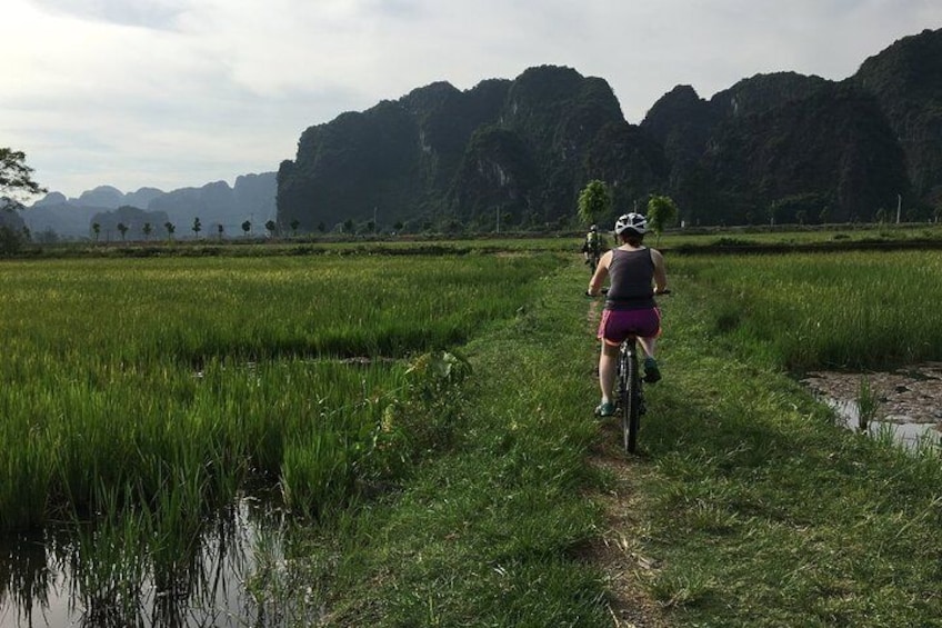 Private Ninh Binh Luxury Day Tour (Tam Coc, Mua Cave, Cycling)