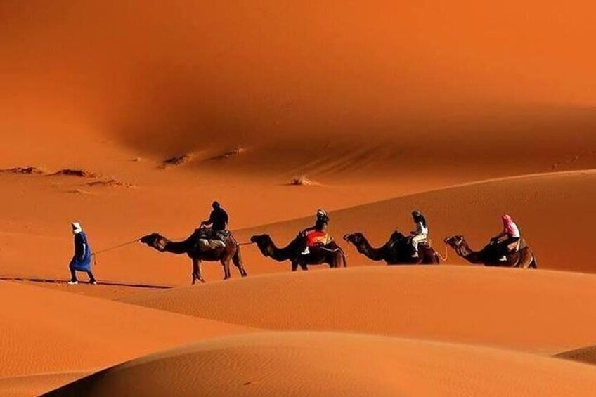 Morocco Desert Tours