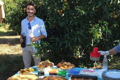 Mandarina Farming Tour With Food and Drink Tasting in Albania