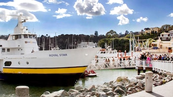 Shared Ferry: San Francisco to Sausalito