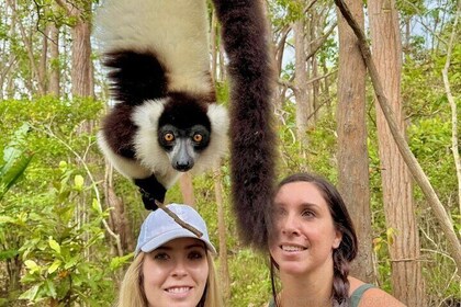 Madagascar Exploring Antananarivo to Andasibe 7 D/6 N (Comfort)