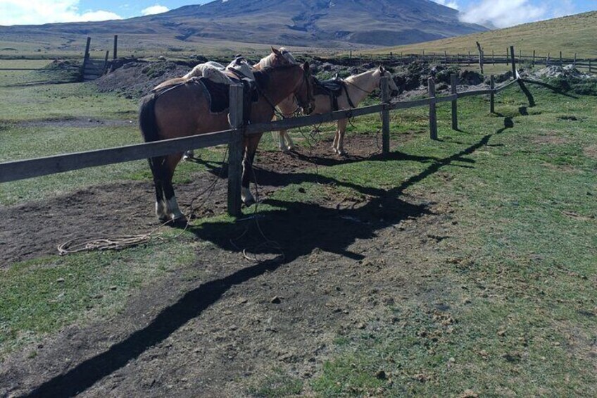 Cotopaxi volcano horseback ride and hike