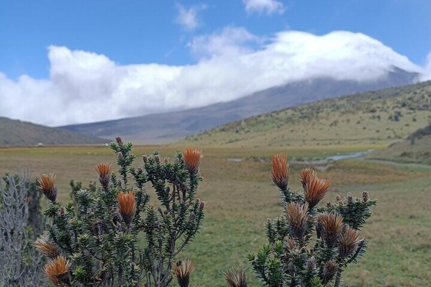 Cotopaxi volcano horseback ride and hike