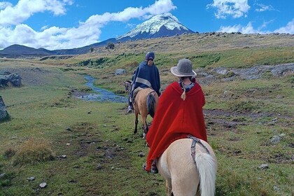 Cotopaxi volcano horseback ride and hike