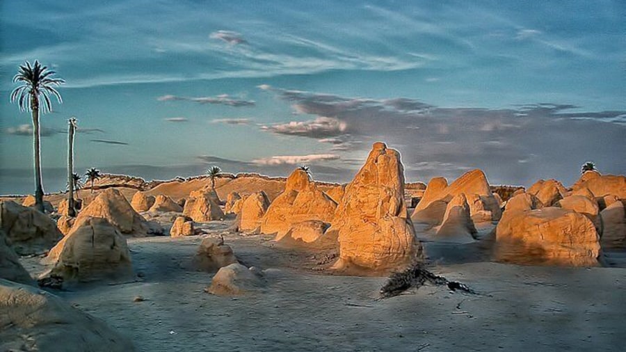 The Desert Oasis & Hot Water Spring Excursion