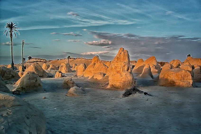 The Desert Oasis & Hot Water Spring Excursion