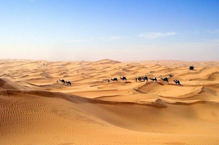 The Desert Oasis & Hot Water Spring Excursion
