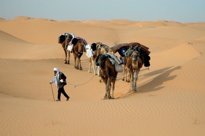Camel riding Adventure at Great Oriental Erg 7Days/ 6 Nights