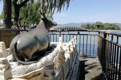 Private tour to & from Jinshanling Great Wall