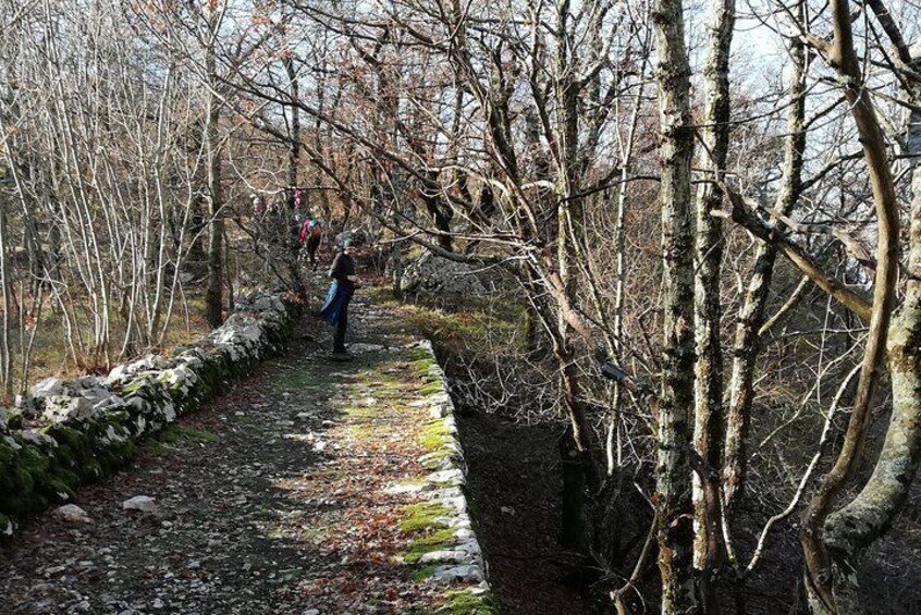 Brajići Hiking Tour and Monastery Praskvica