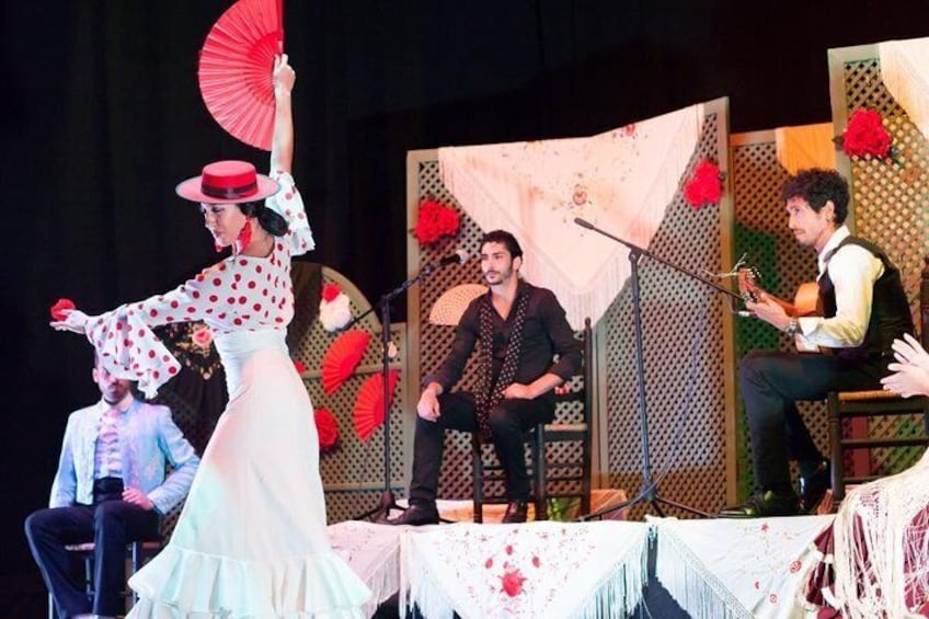 Flamenco Malaga