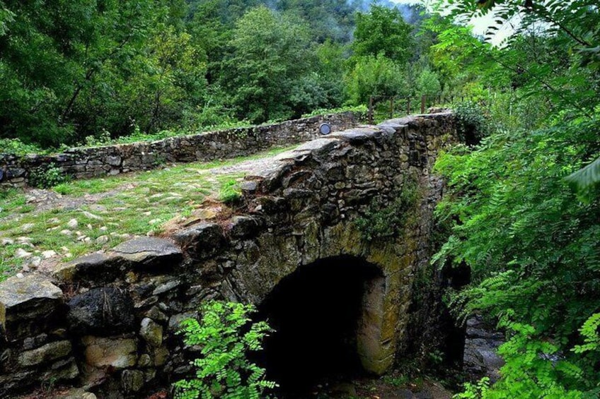 Dalí, Besalu & Garrotxa - From Santa Susanna