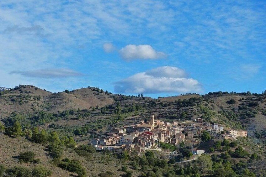 Tarragona, Ruins & Priorat -Reduced group hotel pick-up From Salou / Tarragona