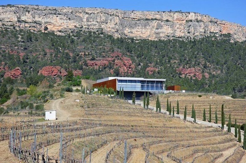 Tarragona, Ruins & Priorat -Reduced group hotel pick-up From Salou / Tarragona