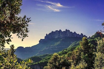 Montserrat & Wines private tour - Hotel pick up from Salou/Tarragona