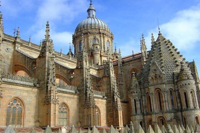 Private tour Avila and Salamanca from Madrid