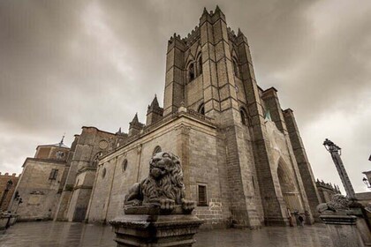 Private tour Avila and Salamanca from Madrid