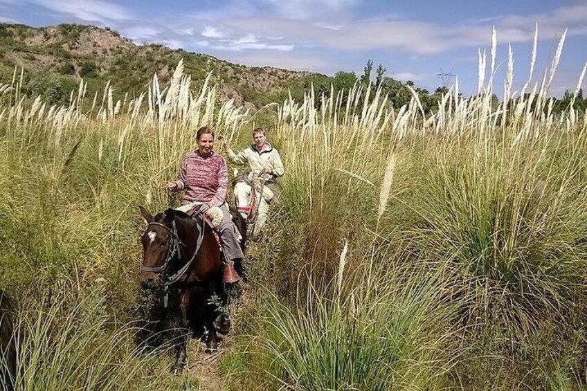 Criolla Horseback Riding