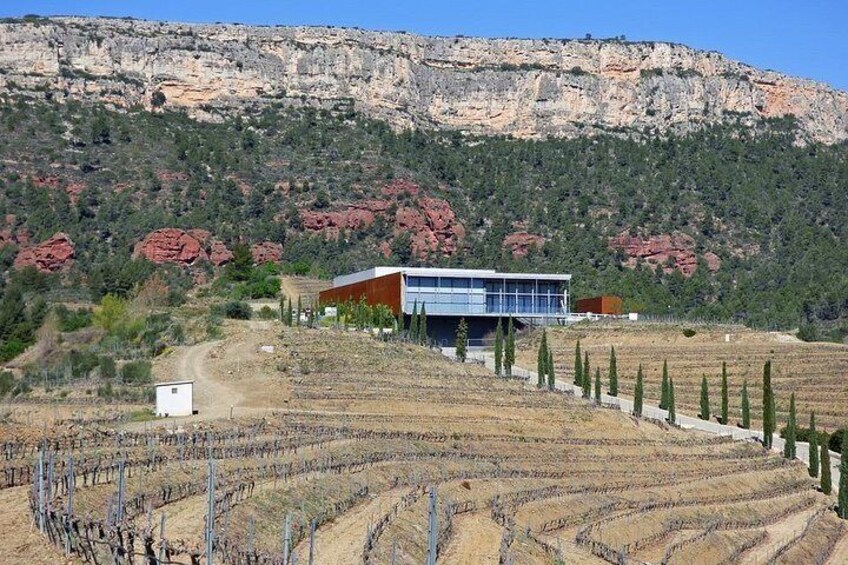 Poblet & Priorat Monastery - Reduced group hotel pick up from Salou / Tarragona