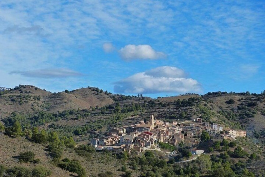 Poblet & Priorat Monastery - Reduced group hotel pick up from Salou / Tarragona
