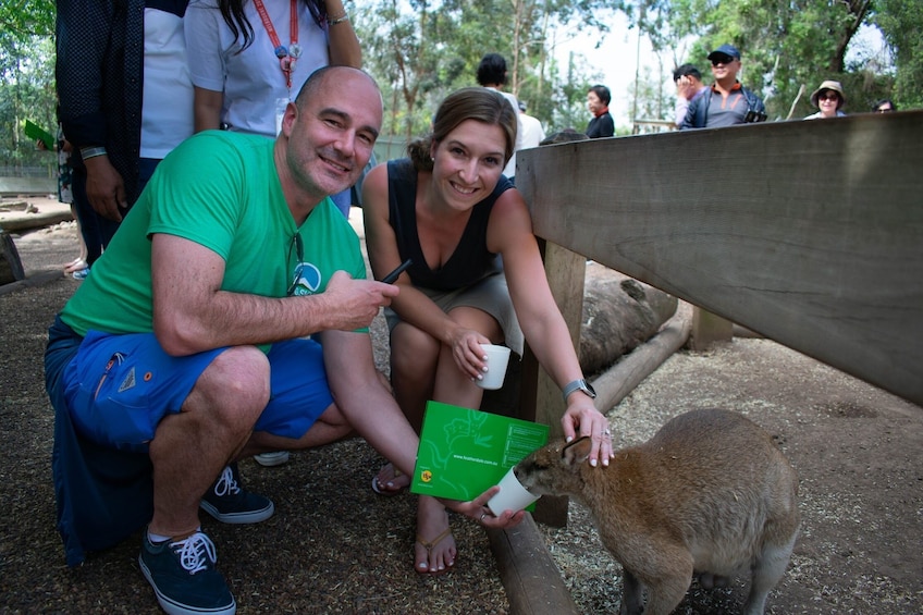 All Inclusive Deluxe Small-Group Tour of Blue Mountains