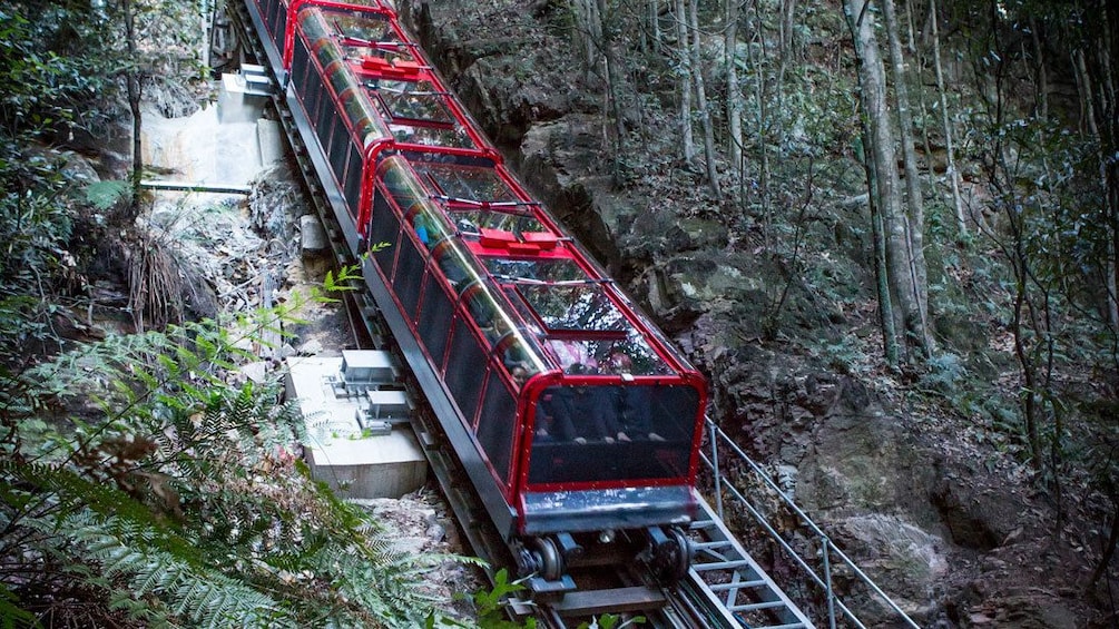 taking the tour passenger train through the wilderness in Australia