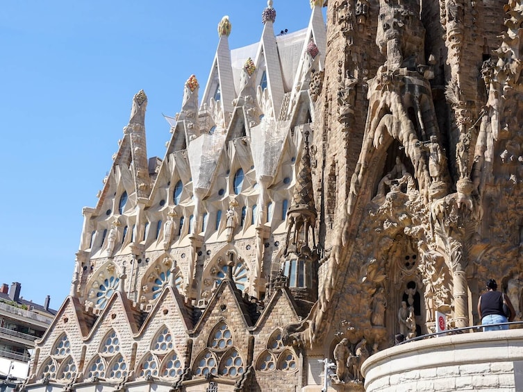Fast Track Sagrada Familia & Park Güell - Guided tour